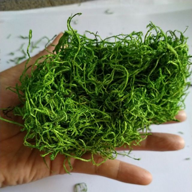 Rêu cỏ sợi, bột rêu  giả làm mô hình , trang trí bon sai, tiểu cảnh