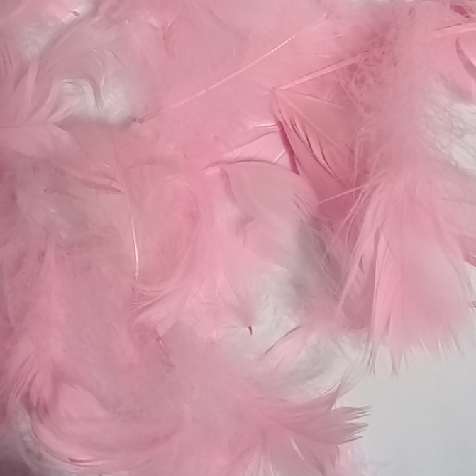 gói khoảng 100 lông vũ nhỏ 3-7cm phụ kiện chụp ảnh, trang trí handmade (khoảng 4gam)