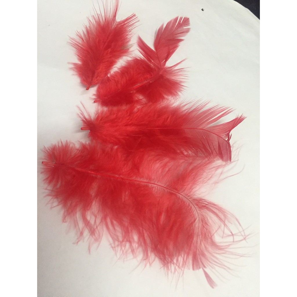 Lông vũ gói 7gam đủ màu dài 4-10CM (khoảng 80-90 cái)