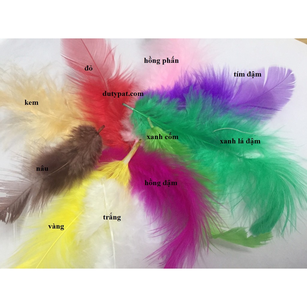 Lông vũ gói 7gam đủ màu dài 4-10CM (khoảng 80-90 cái)