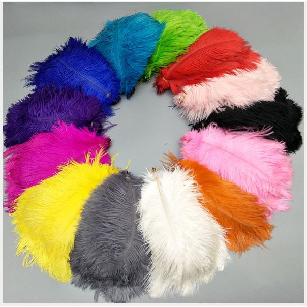 lông vũ mềm mai 20-25cm, lông đà điểu phụ kiện chụp ảnh, trang trí