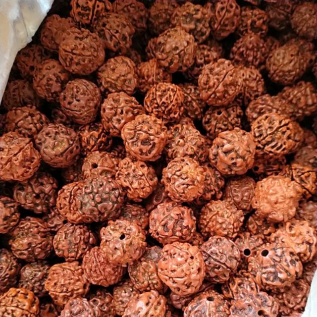 Gói 10 hạt bồ đề size 14-16mm có lỗ xỏ làm vòng