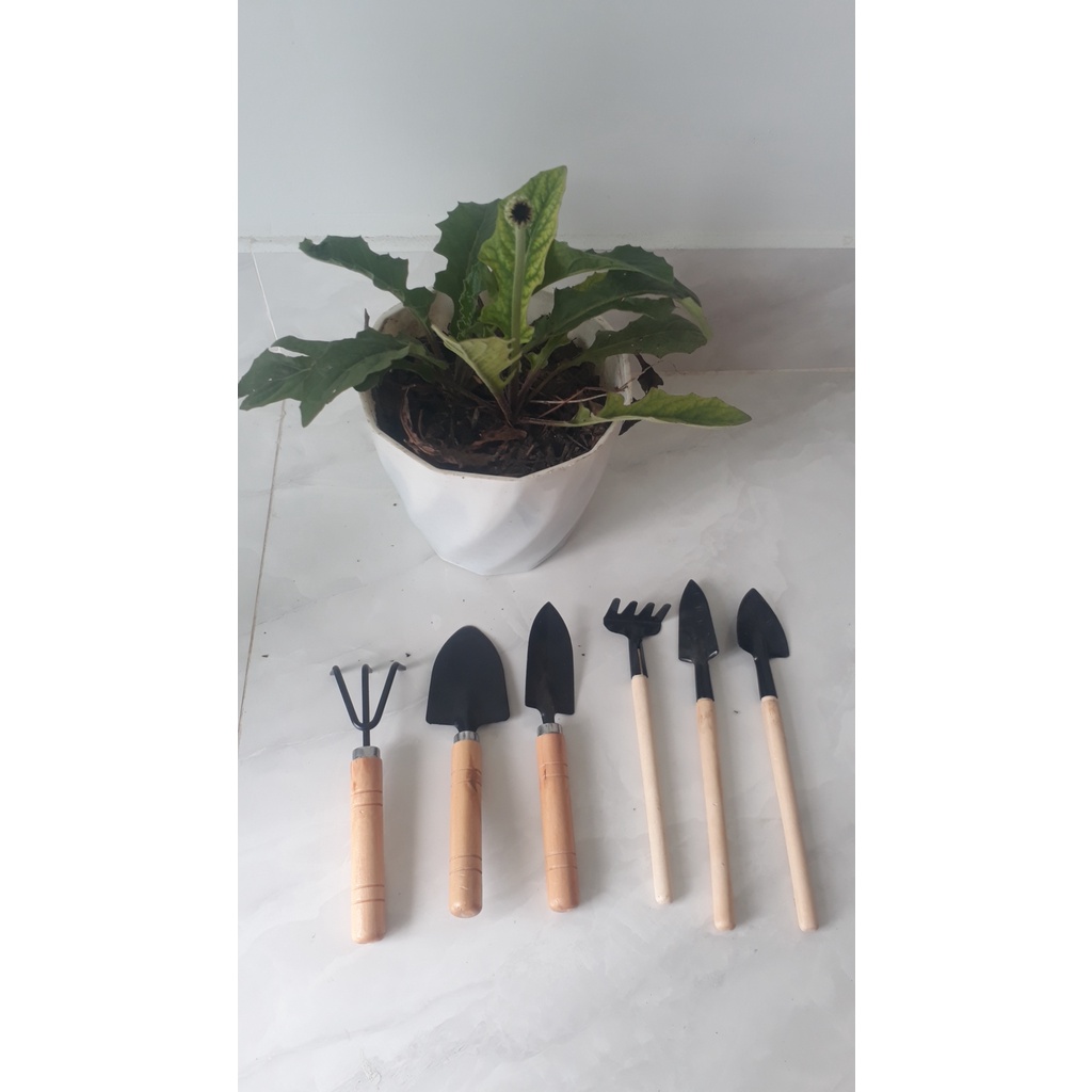 Bộ 3 dụng cụ làm vườn cán gỗ, lưỡi thép, trồng cây, xới đất, trộn phân, làm cỏ - Gồm Xẻng, Cảo, Chĩa