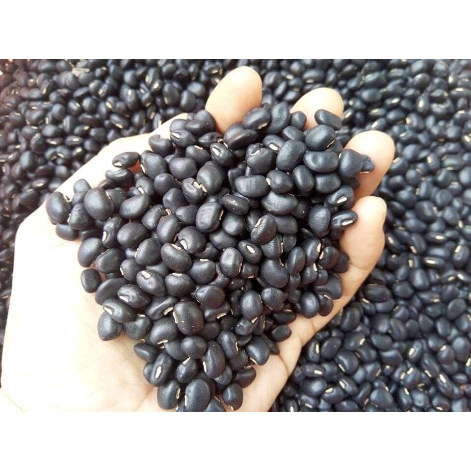 100-500G ĐỖ ĐEN - ĐẬU ĐEN XANH LÒNG THUẦN CHỦNG MỘC CHƯA RANG