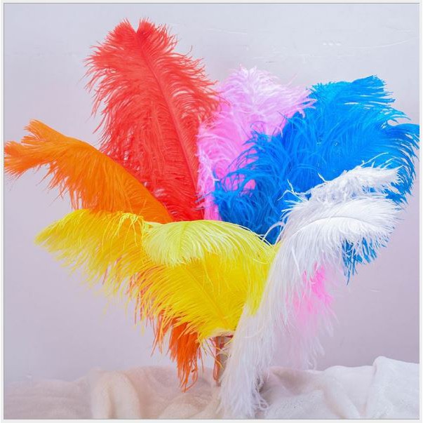 lông vũ mềm mai 20-25cm, lông đà điểu phụ kiện chụp ảnh, trang trí