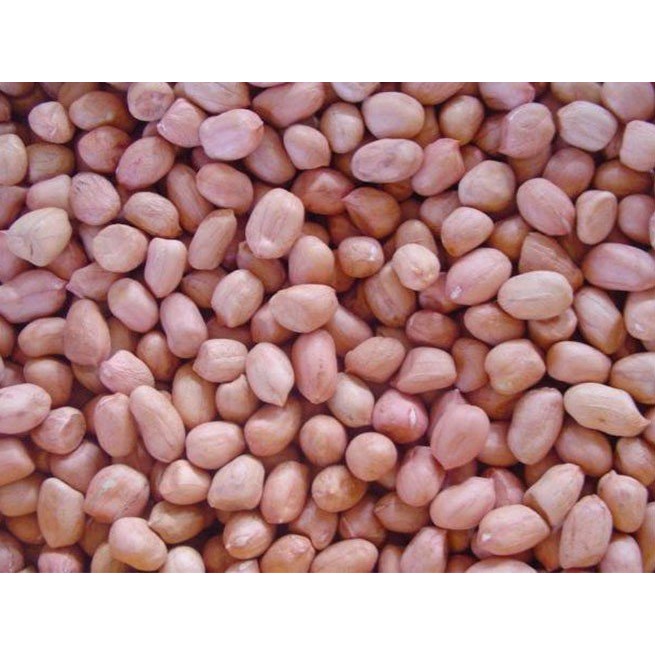 100-500g đậu phộng sống