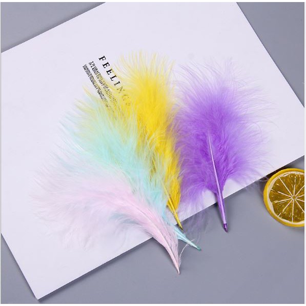 10 lông vũ xù mịn 12-14cm