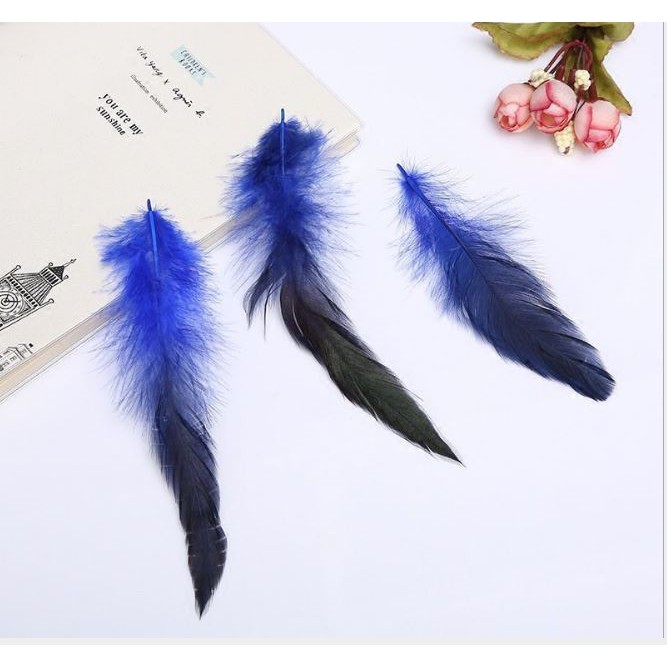 10 lông vũ đuôi nhọn 15-20cm nhiều màu