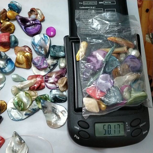 50gam vỏ sò các kiểu -VSM005