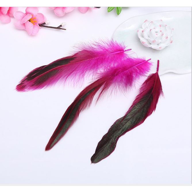10 lông vũ đuôi nhọn 15-20cm nhiều màu