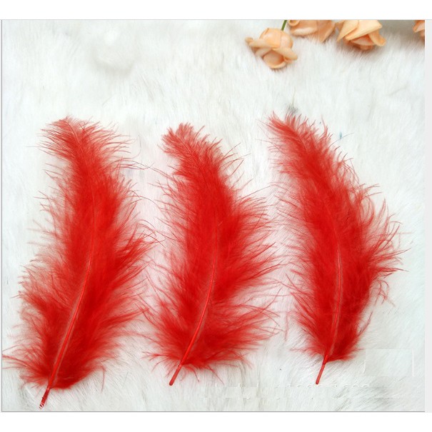 10 lông vũ mềm mịn dài 12-16cm