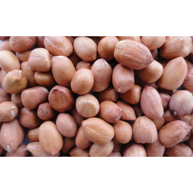 100-500g đậu phộng sống