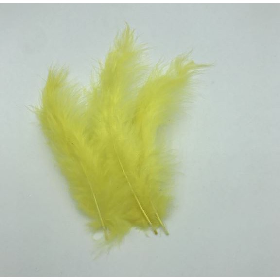 10 lông vũ mềm mịn dài 12-16cm