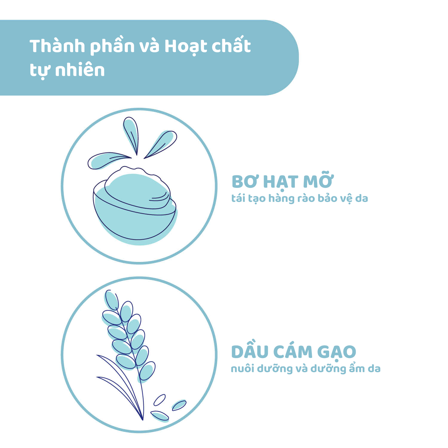 Sữa dưỡng ẩm toàn thân chiết xuất Bơ hạt mỡ & Vitamin E Chicco Natural Sensation 0M+ 150ml