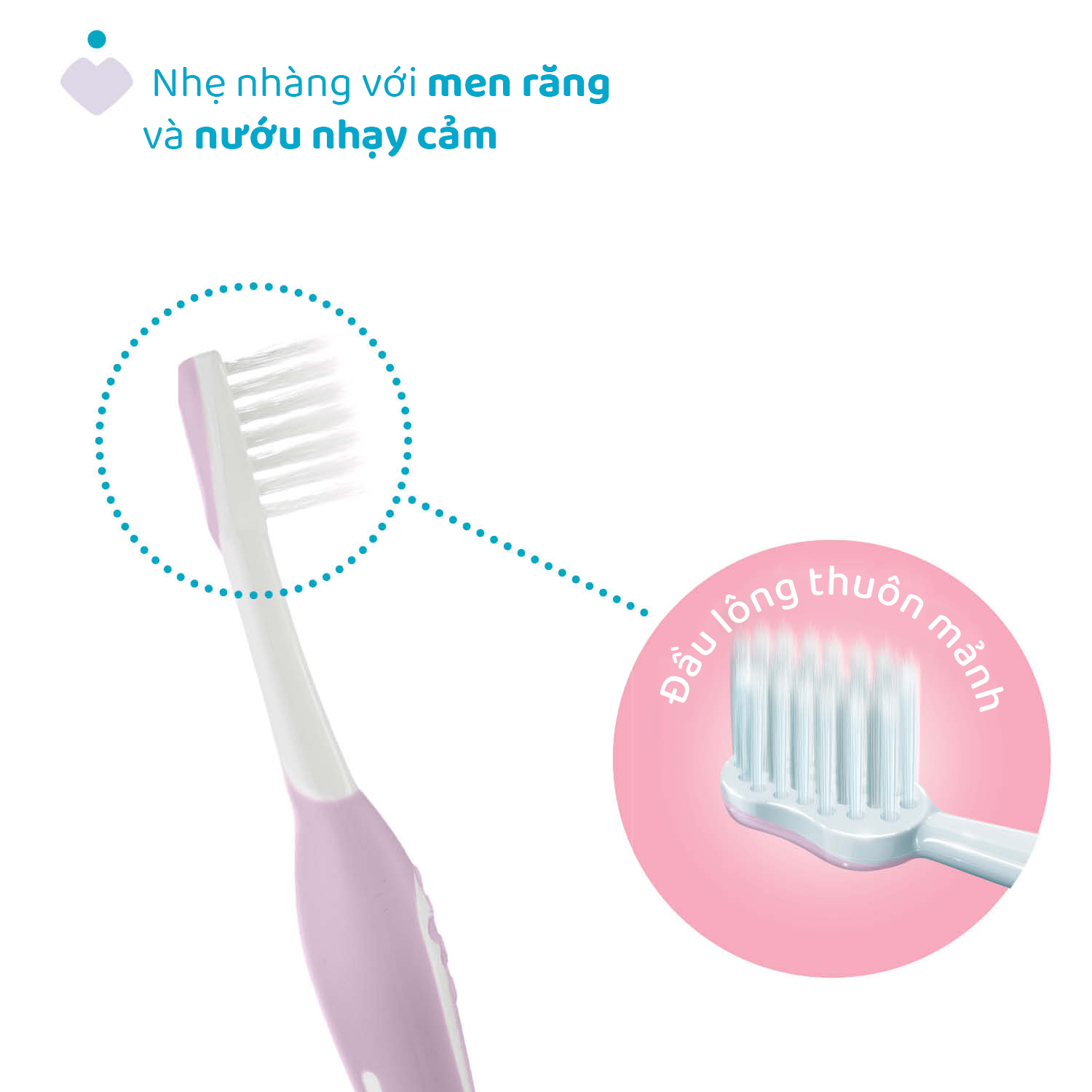 Bộ đôi bàn chải đánh răng Chicco 6-36M (Vàng - Tím hồng)