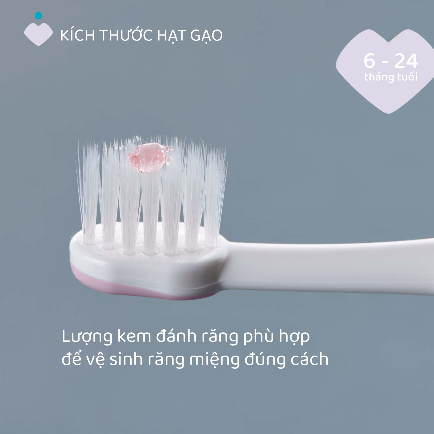 Bộ đôi bàn chải đánh răng Chicco 6-36M (Vàng - Tím hồng)
