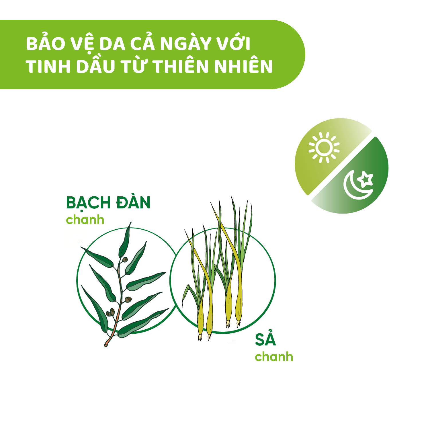 Gel xịt bảo vệ da chiết xuất tinh dầu tự nhiên (thay sản phẩm xua muỗi) Chicco NaturalZ 60ml