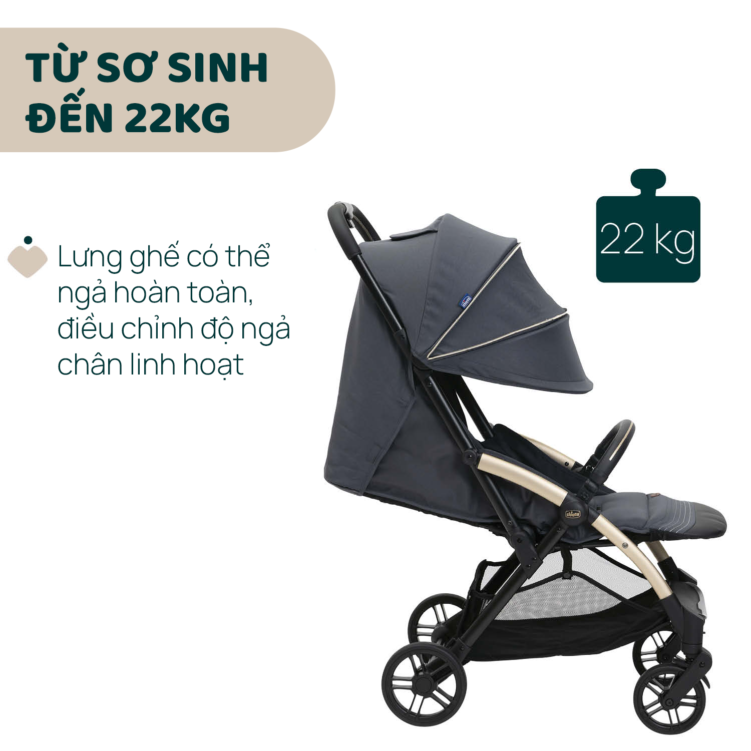 Xe đẩy gấp gọn Chicco Goody Xplus màu Dark Shadow