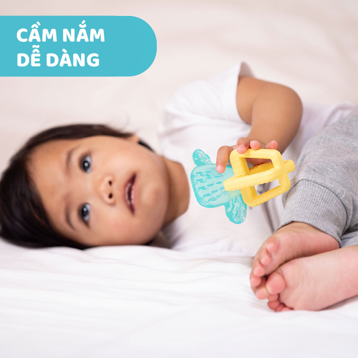 Cắn răng xương rồng Chicco