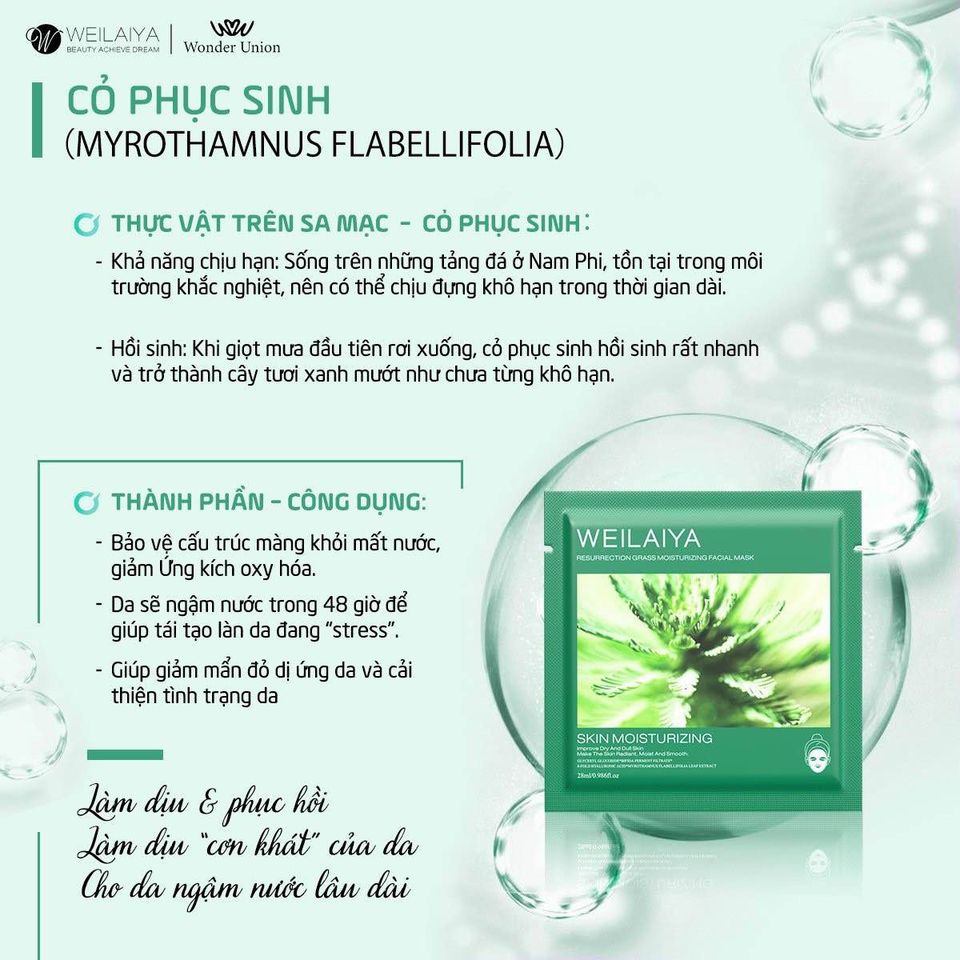 Mặt nạ Weilaiya Hồng Vạn Cánh và Cỏ Vạn Năm hộp 10 miếng