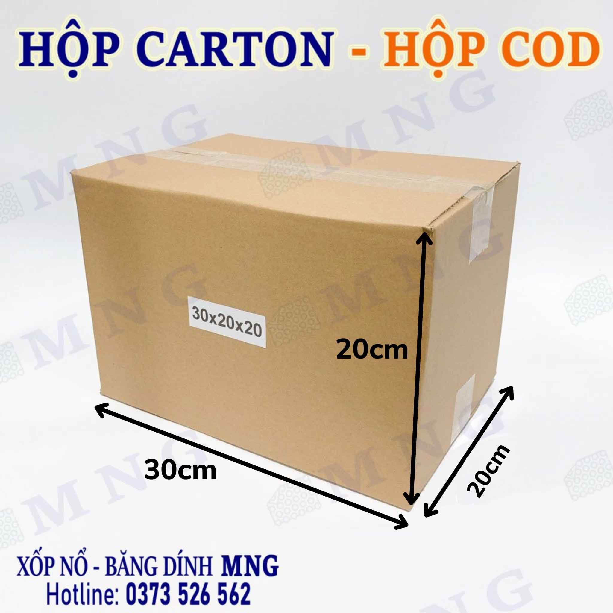 Hộp Carton size trung bình M+ (30-40cm)