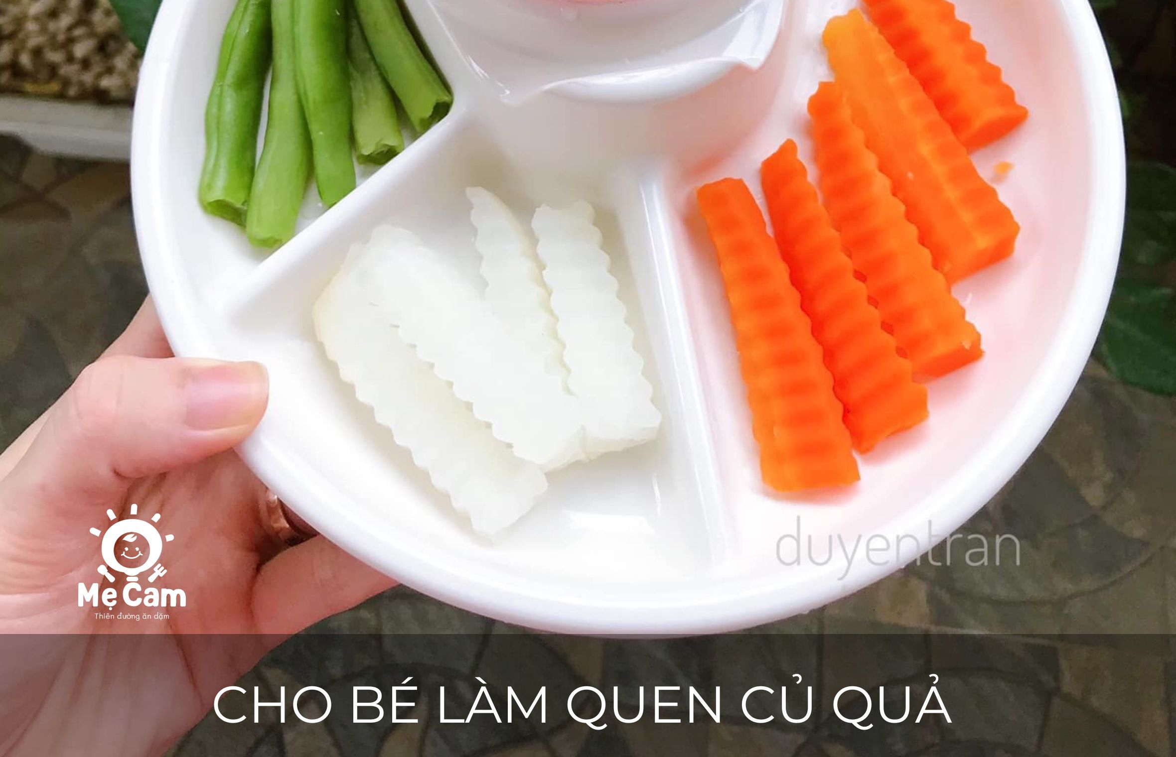 CHO BÉ LÀM QUEN CỦ QUẢ 