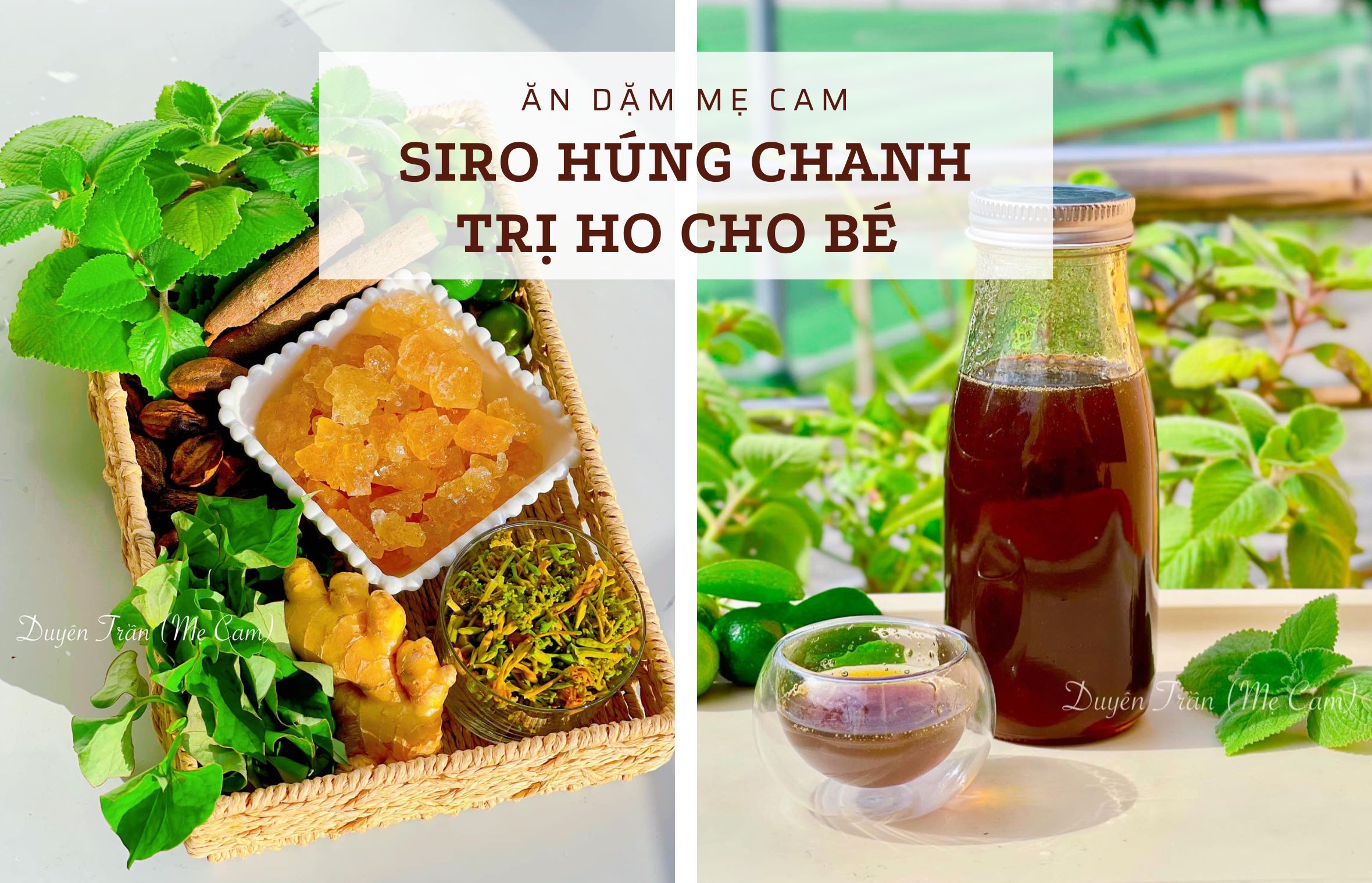 Siro Húng Chanh Trị Ho Cho Bé
