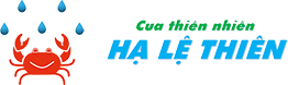 cuathiennhien