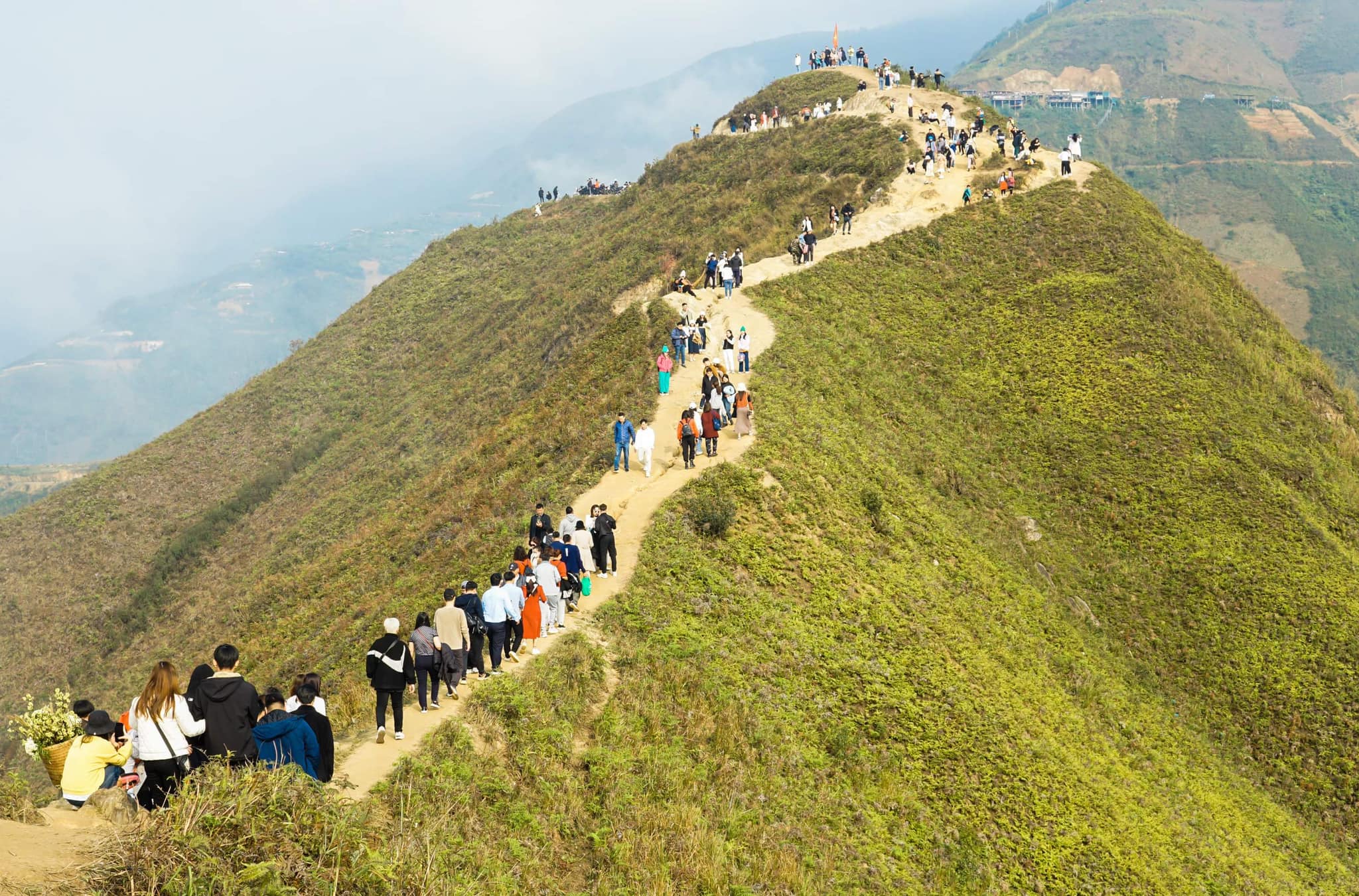 [ MAI - MỘC - TÀ XÙA ] Mộc Châu - Cầu Kính Bạch Long - Tà Xùa 2N1D (ks 2sao)