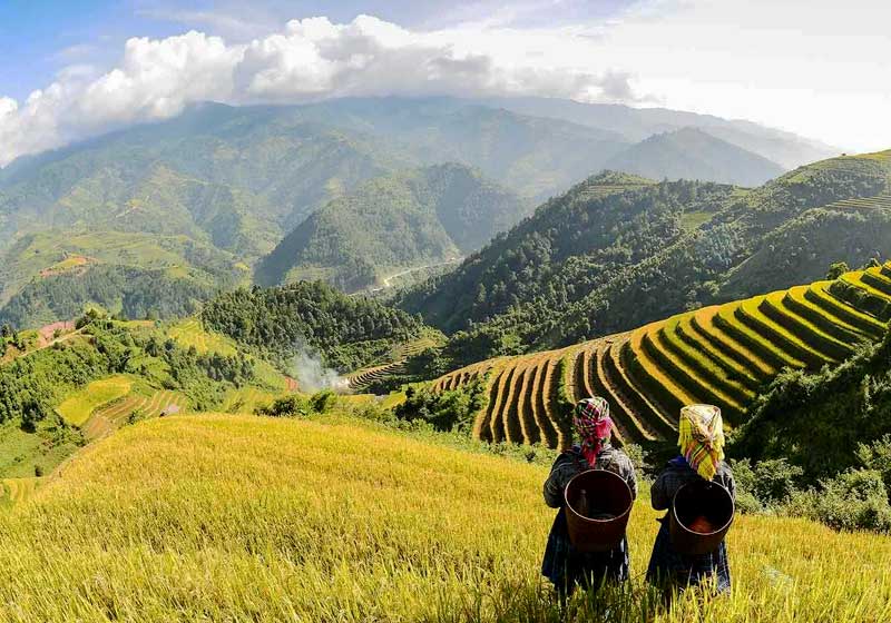 [ LIÊN TUYẾN CLASSIC ] Hà Nội City - Ninh Bình - Hạ Long Bay - Hạ Long Park - Sapa - Fansipan 6N5D