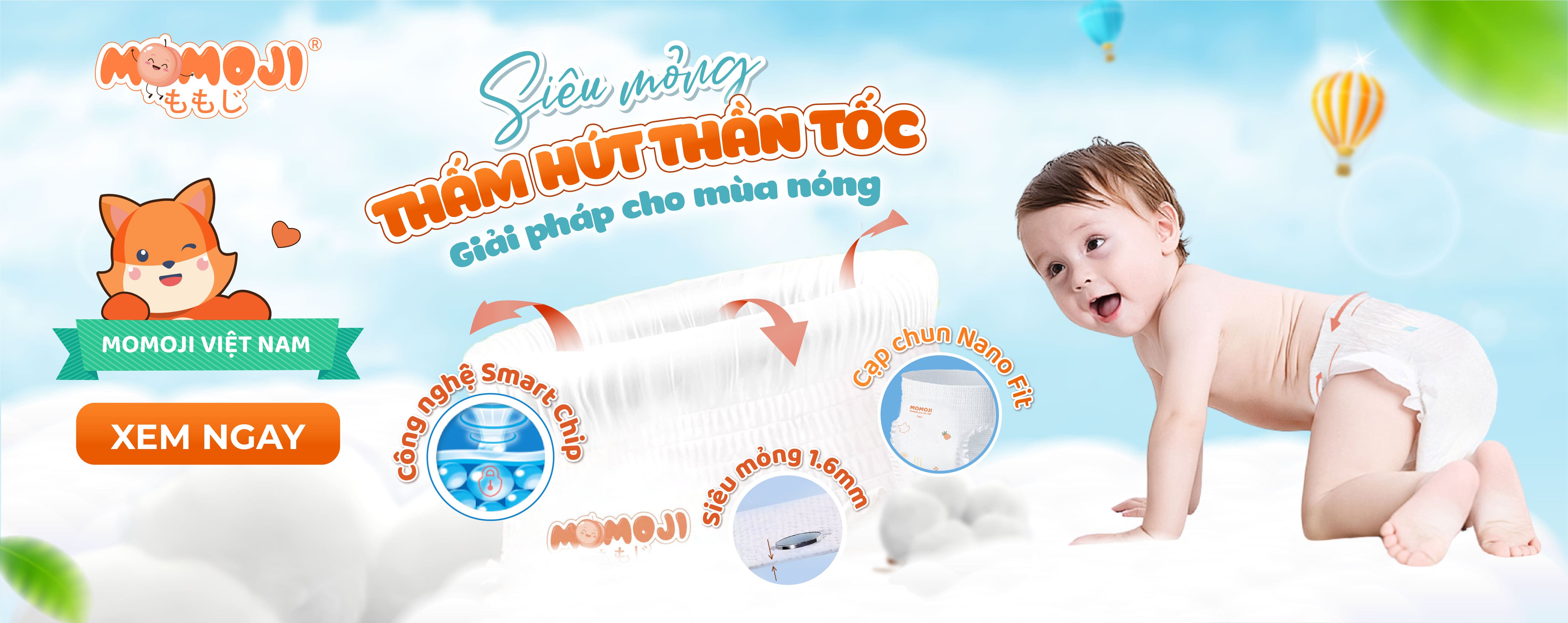 Momo Việt Nam