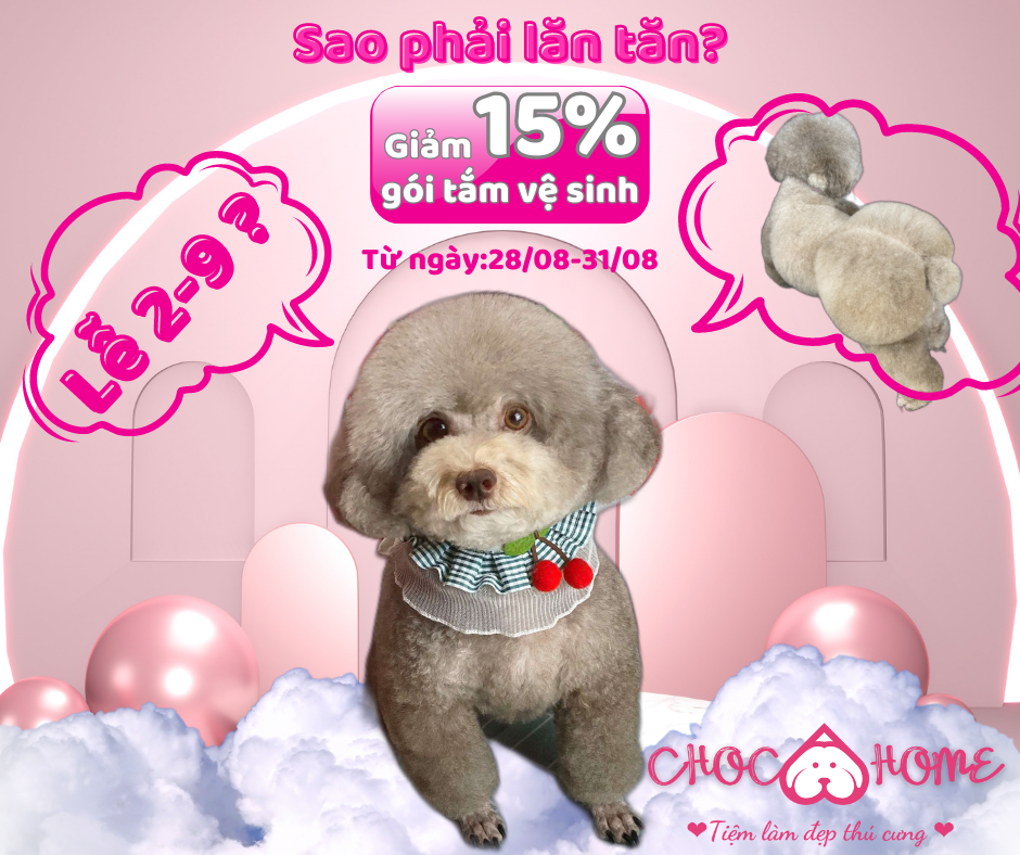 LỄ LÀ PHẢI VI VU - KHÔNG LO PHỤ THU THÌ GHÉ CHOCOHOME NÈ!!!