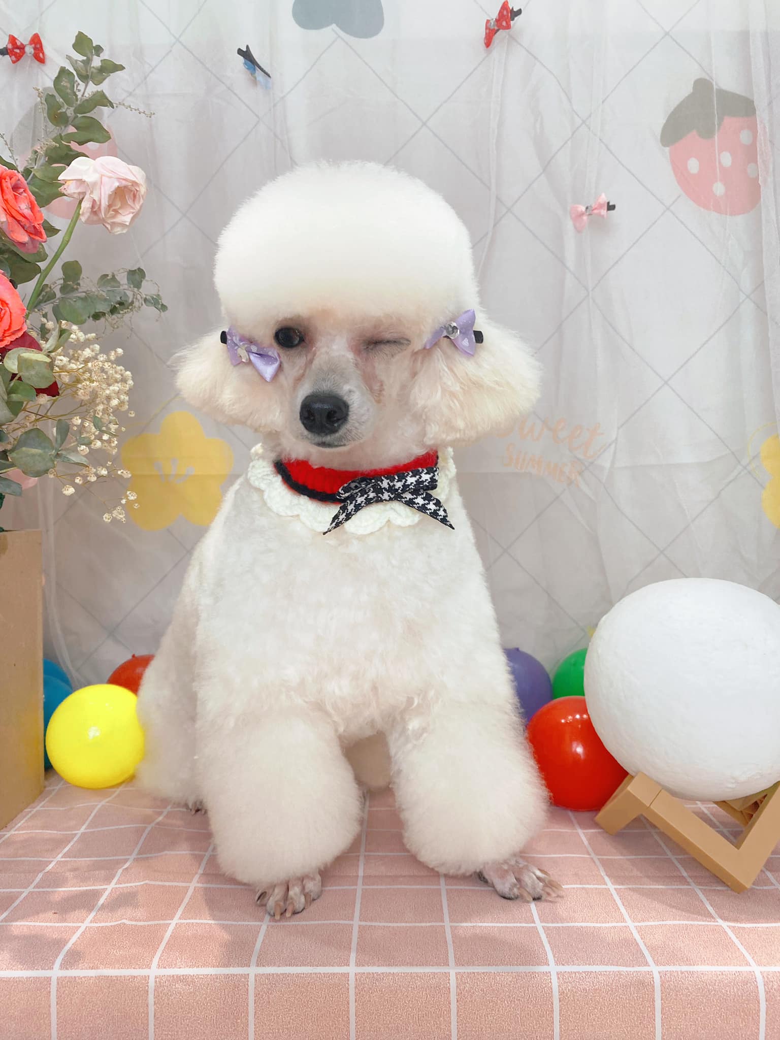 Loa Loa Loa <3 <3 <3 Chương trình ưu đãi kéo dài đến hết tháng 10: