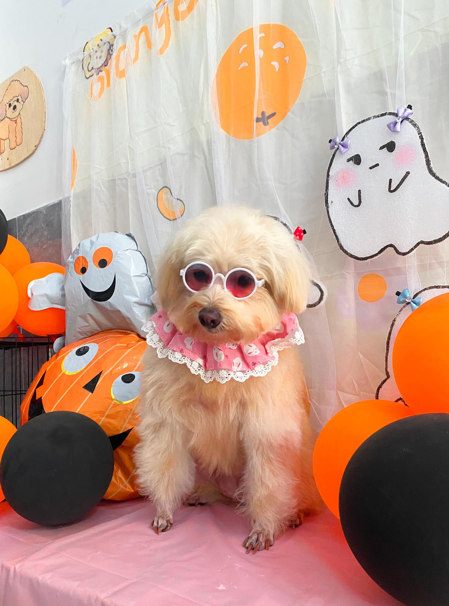 Chương Trình Ưu Đãi Đặc Biệt Trong Tháng 11 Tại ChocoHome