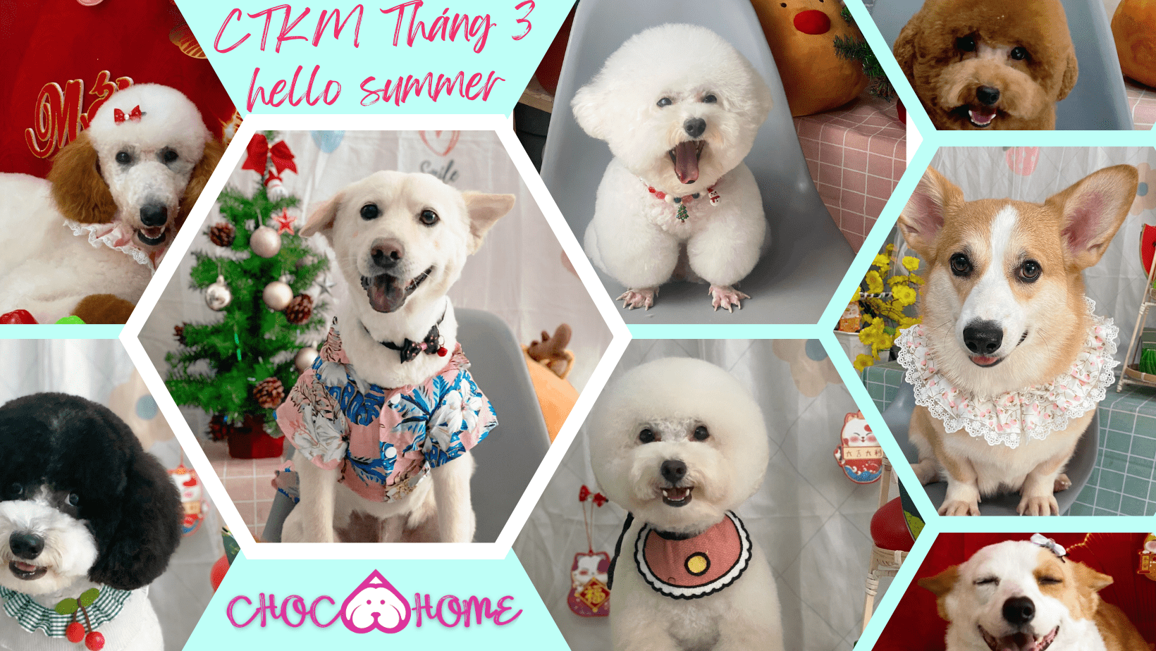 Ưu Đãi Đặc Biệt Trong Tháng 03 (Chuỗi sự kiện Hello Summer) tại ChocoHome