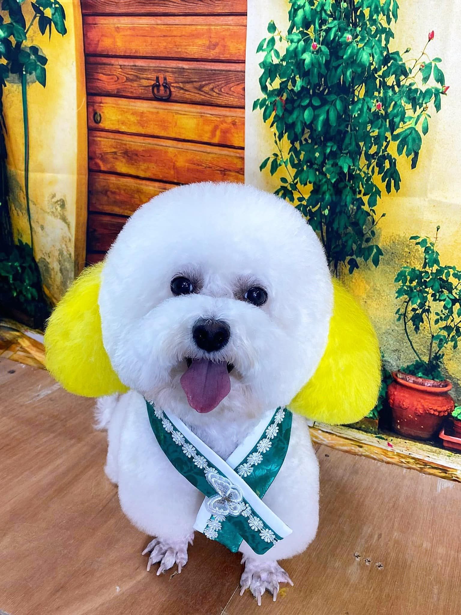 Cắt tỉa lông thú cưng (Dog grooming) là gì?