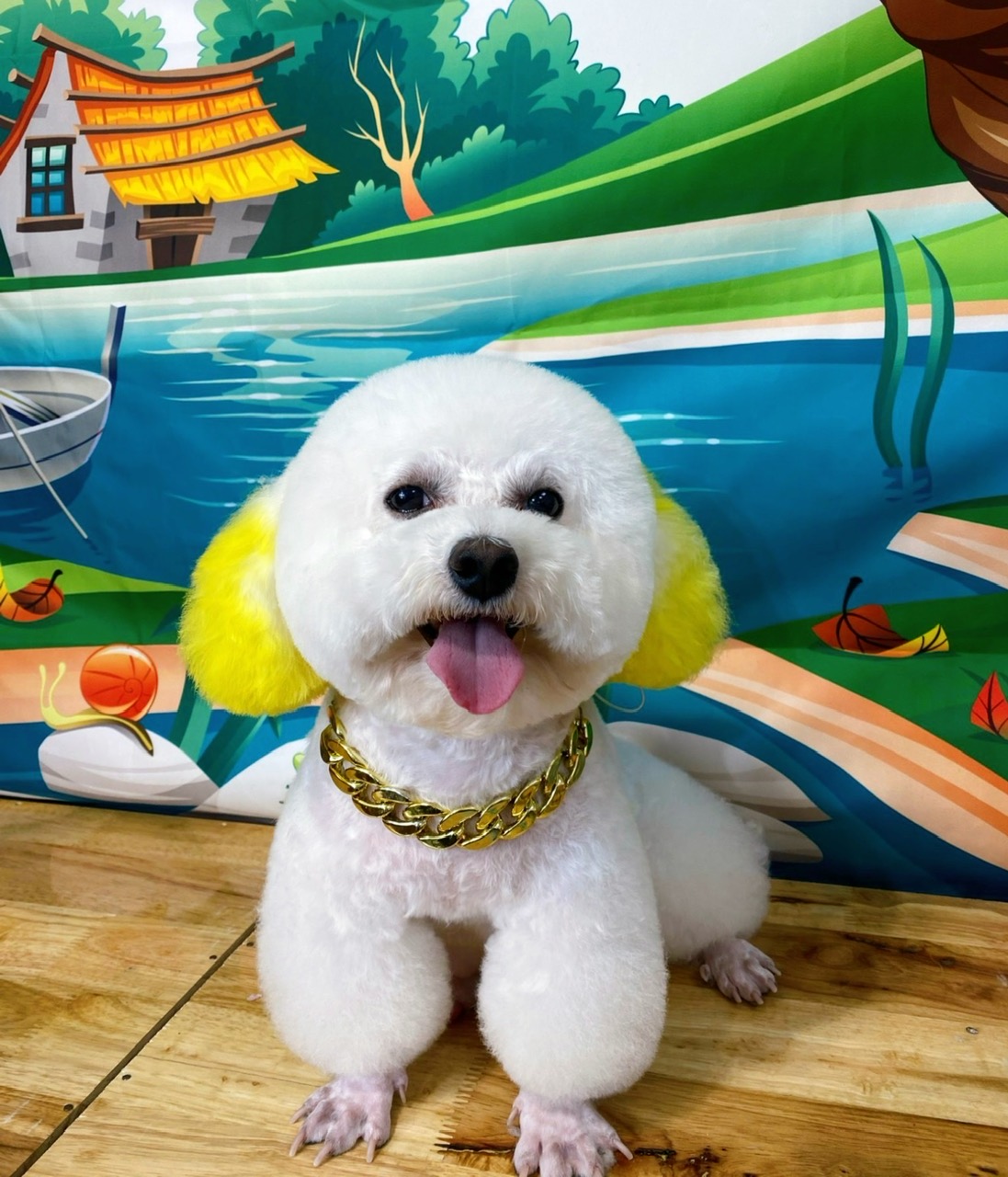 Hình ảnh tắm cắt tỉa lông