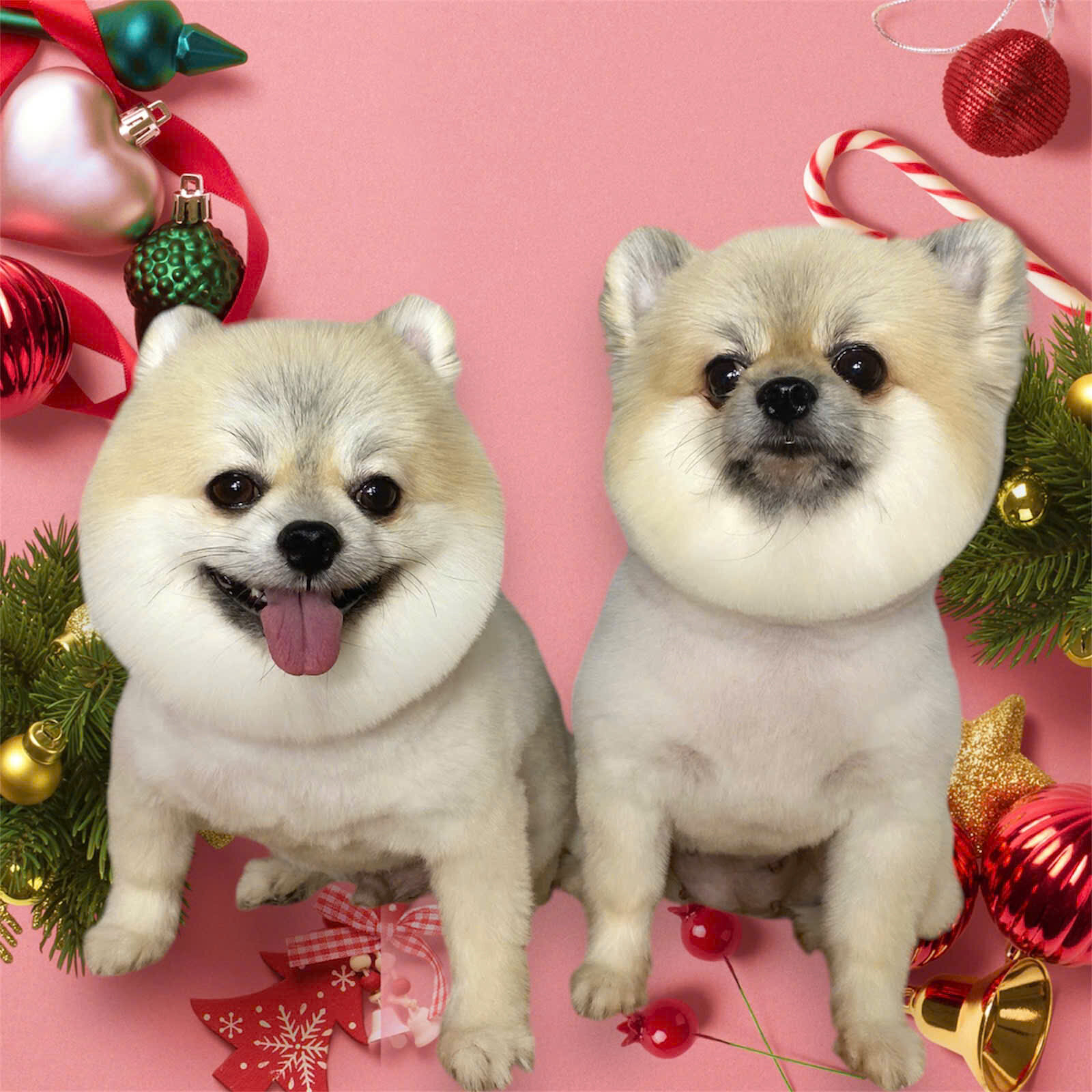 Bệnh black skin là gì? Nguyên nhân và dấu hiệu khi mắc Black skin?