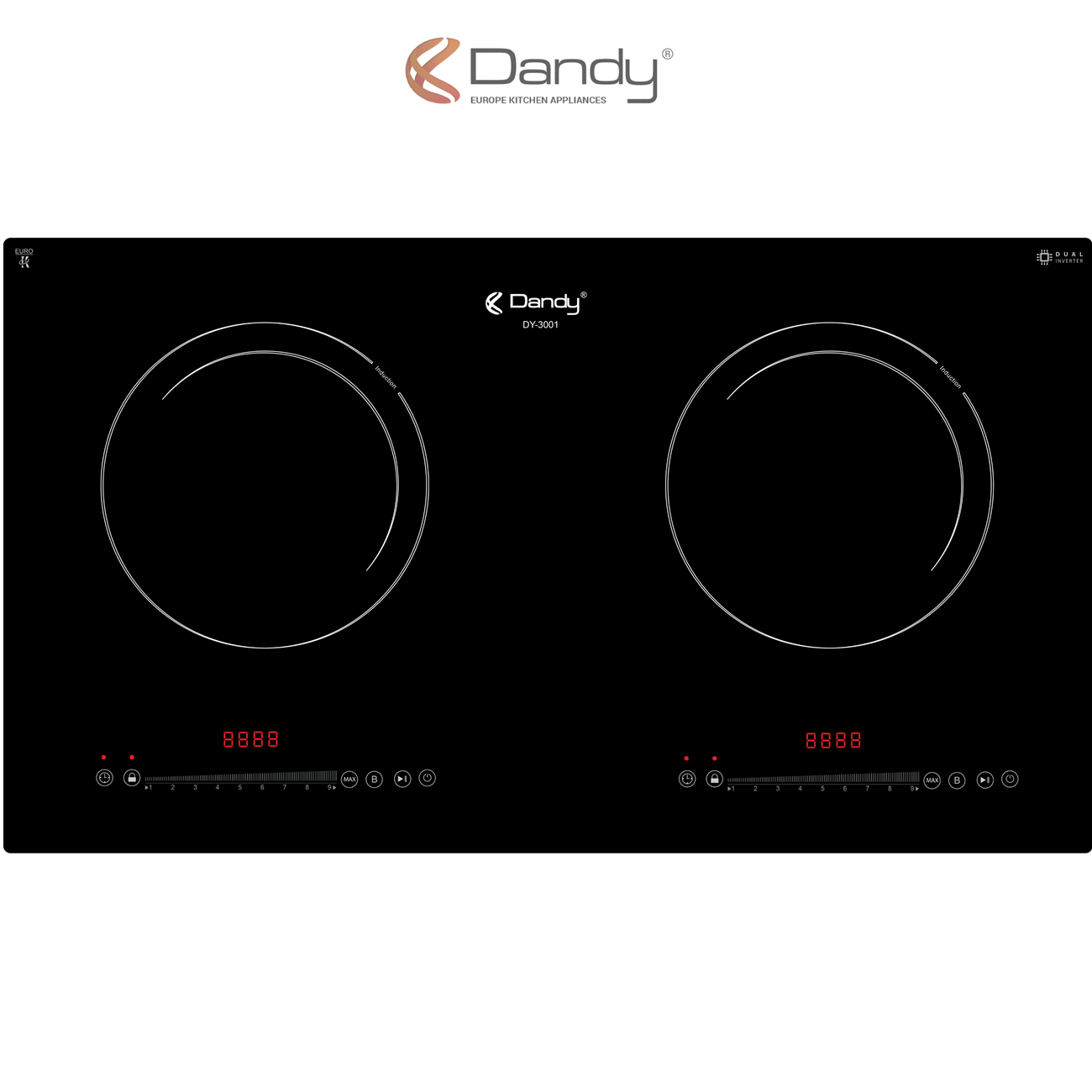 Bếp điện từ cao cấp DY-3001