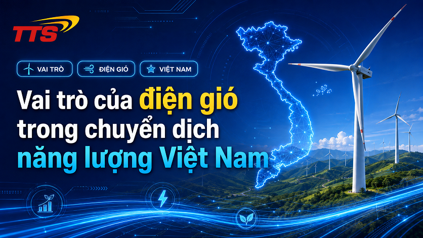 Vai trò của điện gió trong chuyển dịch năng lượng Việt Nam