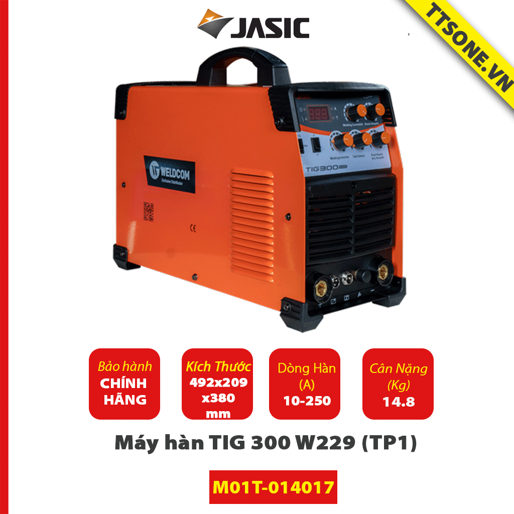 Máy Hàn TIG 300 W229 (TP1) - Chính Hãng