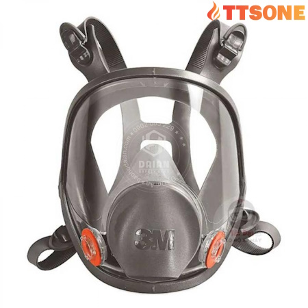 Mặt Nạ Nguyên Mặt 3M 6800
