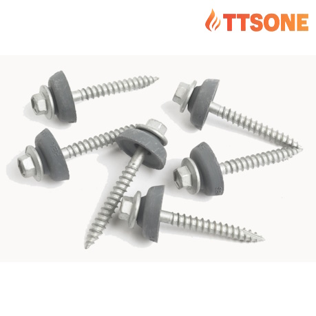 VÍT BẮN TÔN (Thông Thường)