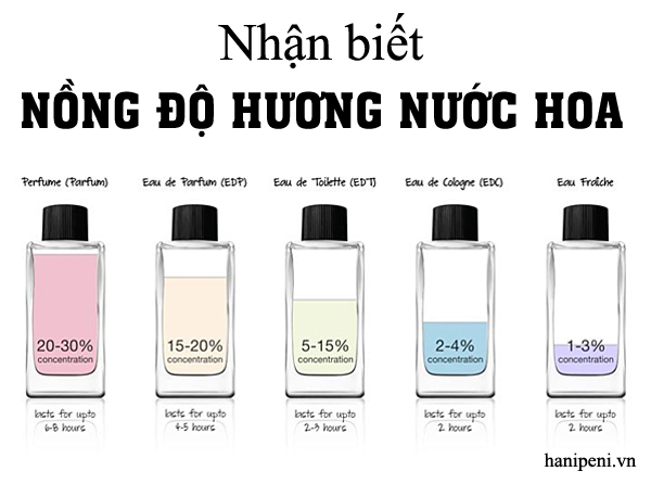 Nhận biết nồng độ hương của từng loại nước hoa