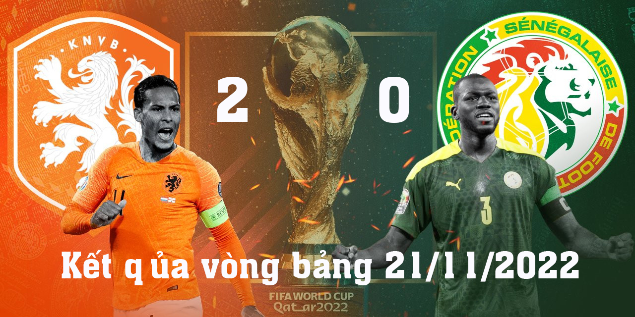 Kết quả bóng đá Senegal 0-2 Hà Lan, World Cup 2022 Kết quả bóng đá Senegal 0-2 Hà Lan, World Cup 2022