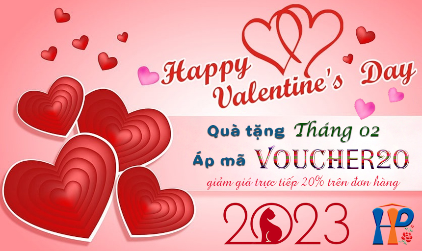 Chương trình Valentine's Day