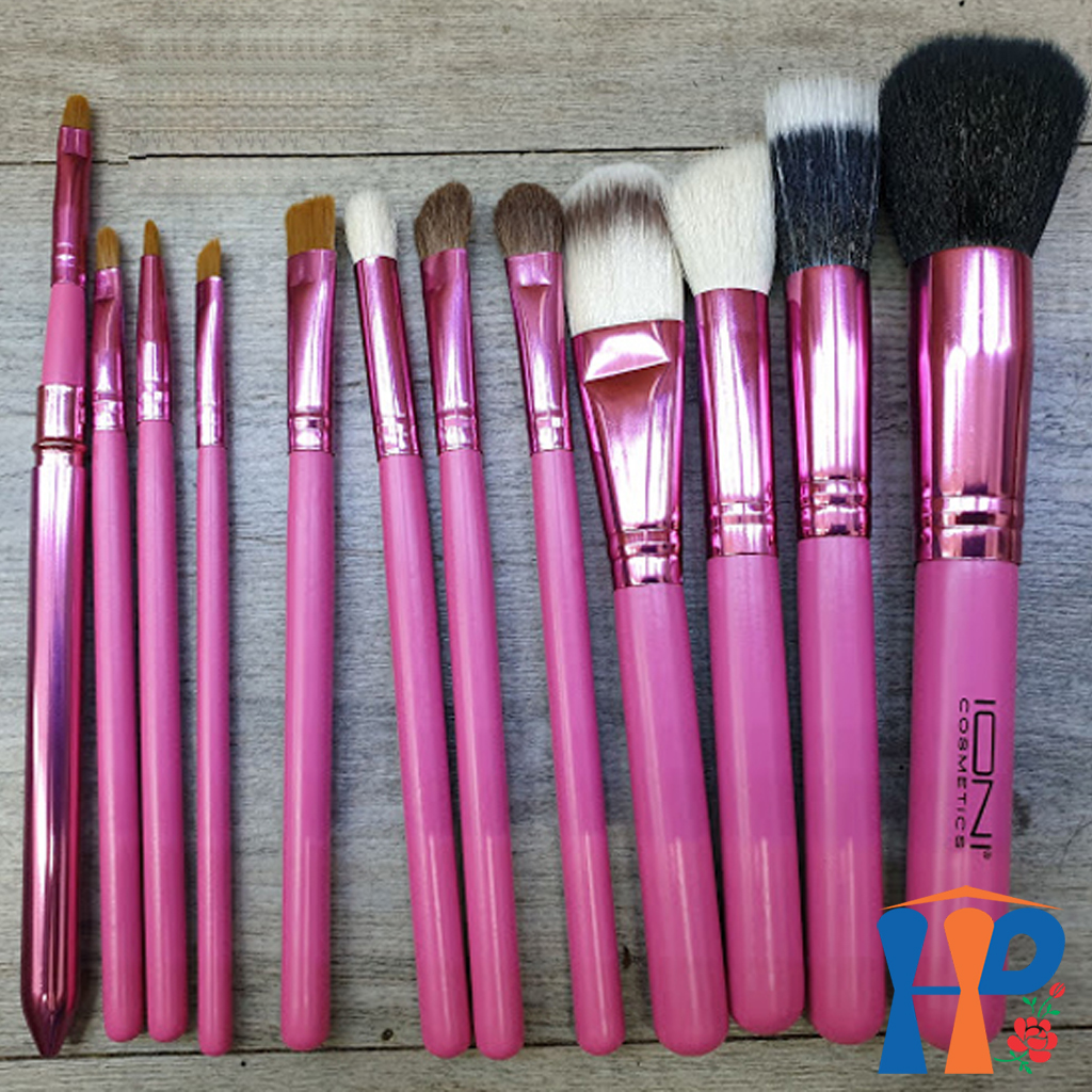 Bộ cọ trang điểm IONI Set of makeup brushes 12pcs (Made in USA)