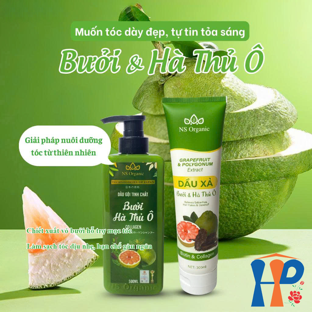 Cặp Gội Xả thảo dược NS Organic Herbal Shampoo & Conditioner 800ml