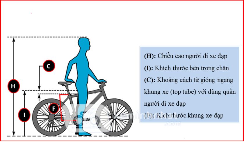 kích thước chiều cao xe