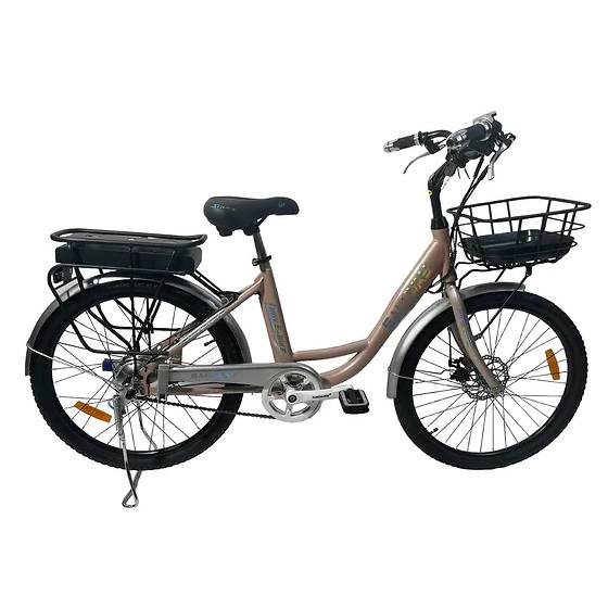 Xe Đạp Trợ Lực Điện Sallway Lady